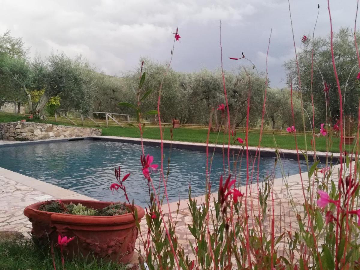 فيلا غايولي إن كيانتيفي Campo Al Sole المظهر الخارجي الصورة